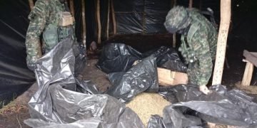Ejército Nacional destruyó e incautó marihuana y clorhidrato de cocaína en Uribia, La Guajira