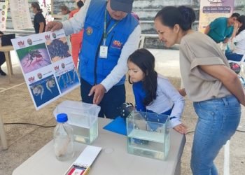 Santander registra 8.338 casos de dengue en 2025, con un descenso del 70% frente al año anterior
