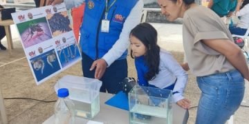 Santander registra 8.338 casos de dengue en 2025, con un descenso del 70% frente al año anterior