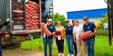Gobierno inicia compra pública de papa para apoyar a productores y fortalecer la seguridad alimentaria