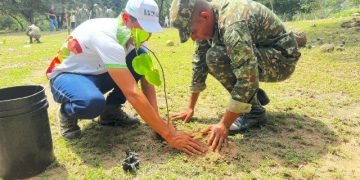 Ejército Nacional impulsa la siembra de 15.000 árboles en el Cesar