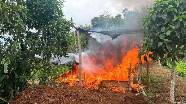 Presidente Petro reiteró invitación a Donald Trump para que venga a Colombia a conocer cómo se destruyen laboratorios