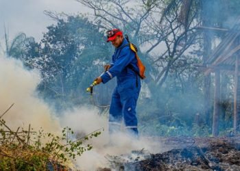 Diez municipios de La Guajira en alerta roja por probabilidad de incendios en la cobertura vegetal