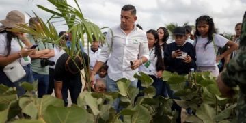 Corpoguajira, Enlaza y el Ejército Nacional iniciaron la siembra de cien palmeras en la Avenida Primera de Riohacha