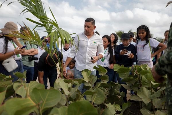 Corpoguajira, Enlaza y el Ejército Nacional iniciaron la siembra de cien palmeras en la Avenida Primera de Riohacha