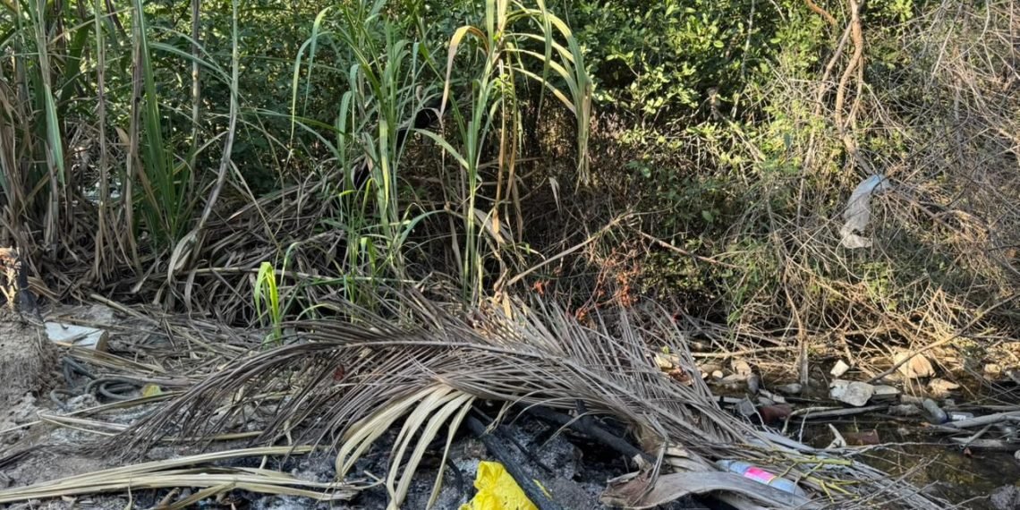 Gobernación de La Guajira emite recomendaciones ante posible temporada de incendios forestales