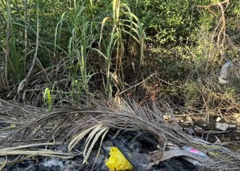Gobernación de La Guajira emite recomendaciones ante posible temporada de incendios forestales