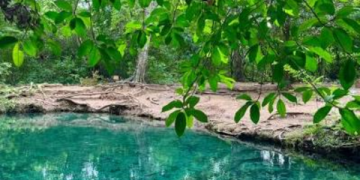 Corpoguajira niega licencia ambiental al proyecto minero Cañaverales en La Guajira
