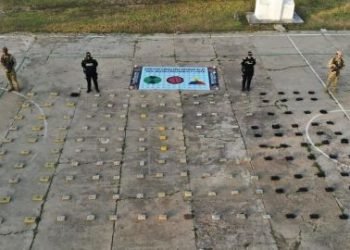 Policía y Ejército decomisan un cargamento de marihuana en área rural de Maicao