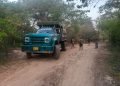 Ejército Nacional frenó explotación ilícita que afectaba ecosistemas del Cesar