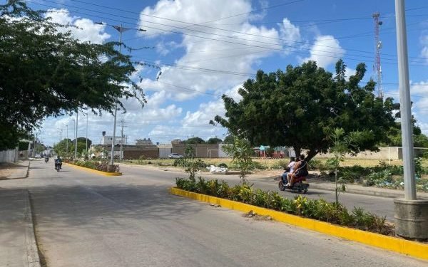 Corpoguajira lidera proyecto integral para la recuperación de áreas verdes urbanas en Maicao