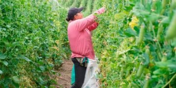 La pobreza multidimensional rural cayó 4,9 puntos entre 2022 y 2025, impulsada por la Reforma Agraria