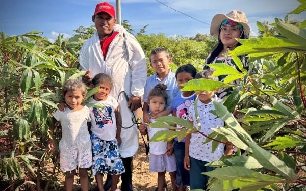 Compras públicas locales fortalecen el campo guajiro y garantizan alimentación a más de 12.000 niñas y niños