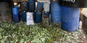 Ejército Nacional golpea economías ilícitas en La Guajira: destruido laboratorio para procesamiento de pasta base de coca