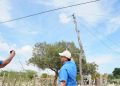 Gobernador Aguilar verifica avance de proyecto eléctrico que transforma comunidades rurales de Manaure