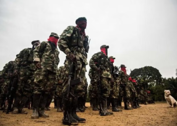 ¡Otra plaga para el Chocó! Combates armados en San Juan, causan desplazamiento y confinamiento.