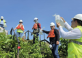 Drummond Ltd. continúa contribuyendo al repoblamiento del bocachico con la siembra de 300 mil alevinos